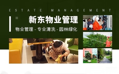 新东物业 从
