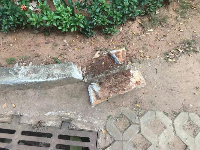 美兰海岸物业管理纠纷法律解析之二业委会聘用物业管理公司的合规性